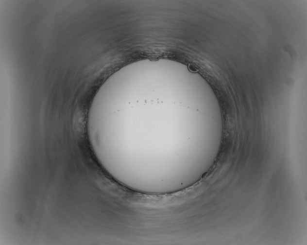 X0000115110037200911101615