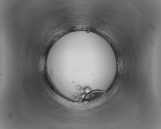 X0000115110038200911101615