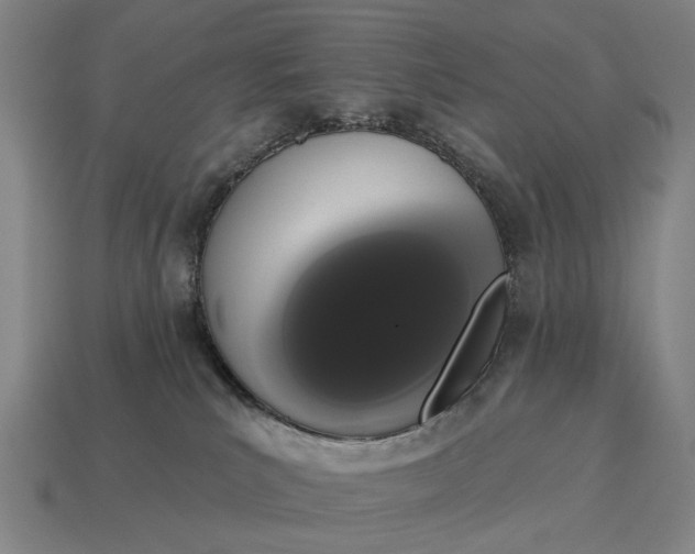 X0000115110039200911101615