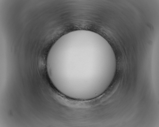X0000115110040200911101615