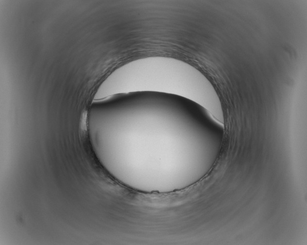 X0000115110041200911101615