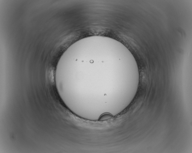 X0000115110042200911101615