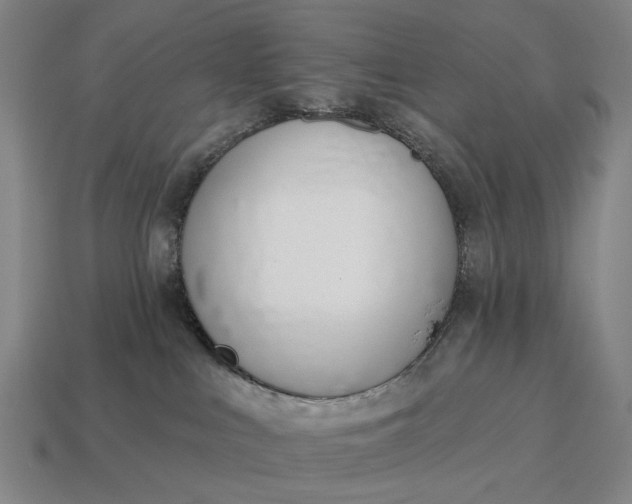X0000115110043200911101615