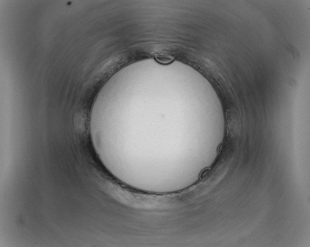 X0000115110044200911101615