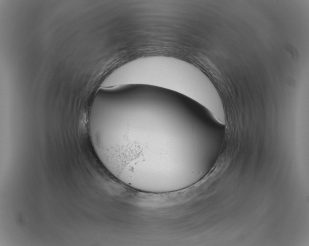 X0000115110045200911101615