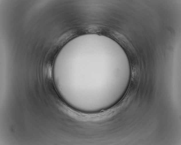 X0000115110046200911101615