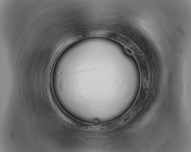 X0000115110049200911101614