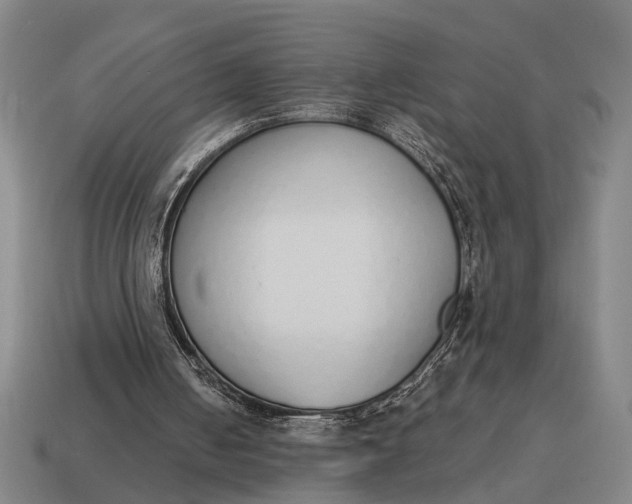 X0000115110050200911101614