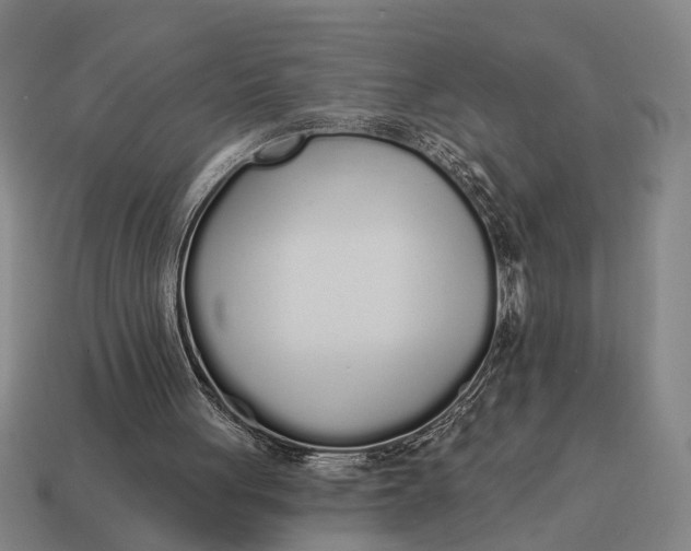 X0000115110051200911101614