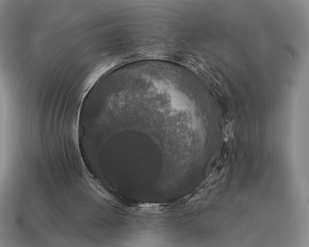 X0000115110052200911101614