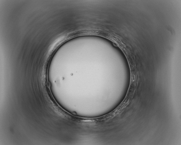 X0000115110053200911101614