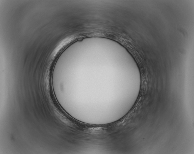 X0000115110054200911101614