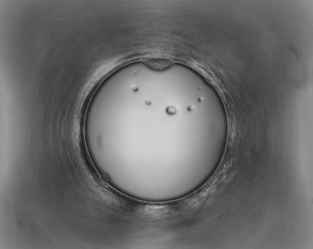 X0000115110055200911101614
