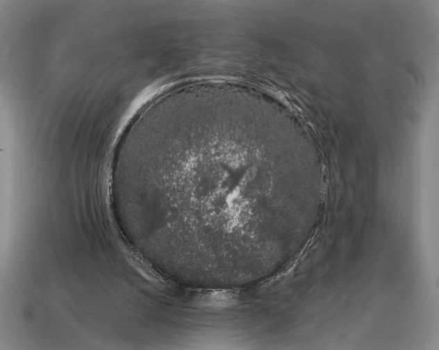 X0000115110056200911101614
