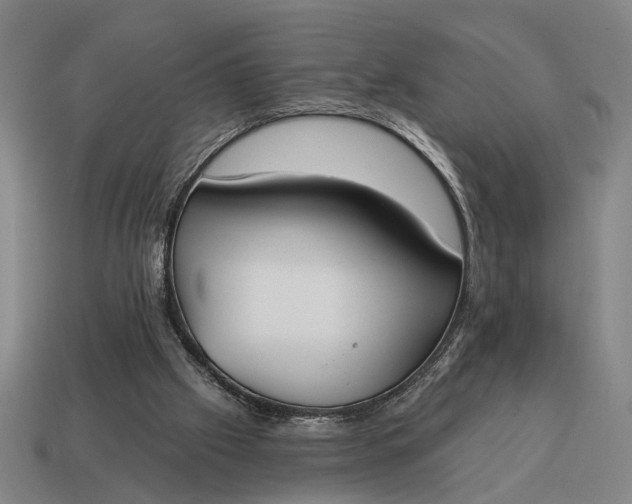 X0000115110057200911101614