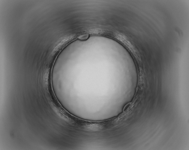 X0000115110058200911101614