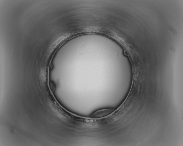 X0000115110060200911101614