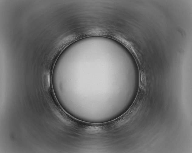 X0000115110061200911101614
