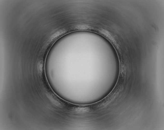 X0000115110063200911101614