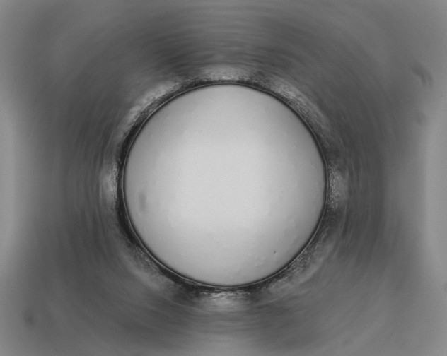 X0000115110064200911101614