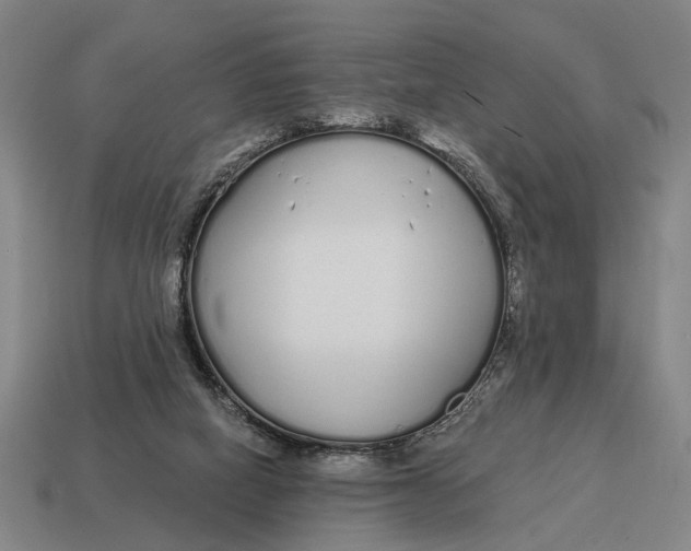 X0000115110066200911101614