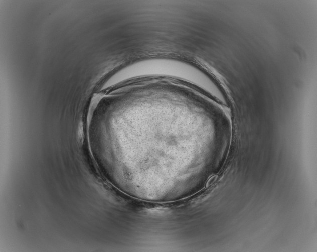 X0000115110067200911101614