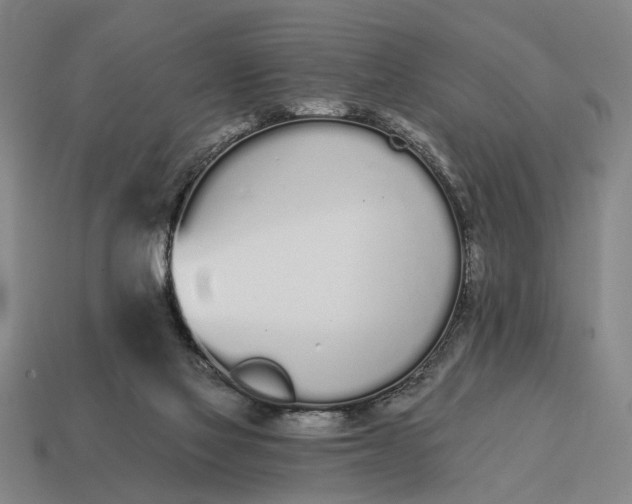 X0000115110069200911101614