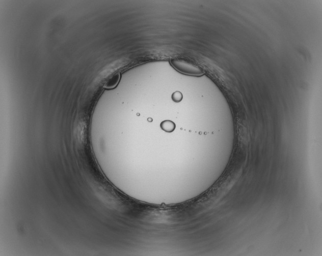 X0000115110071200911101614