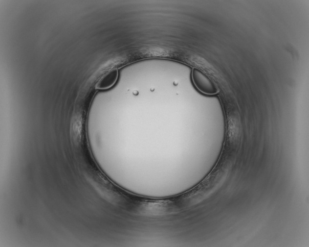 X0000115110072200911101614