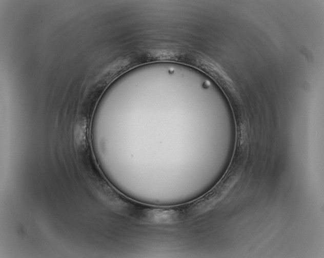 X0000115110073200911101614