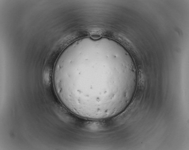 X0000115110074200911101614