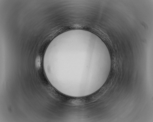 X0000115110075200911101614