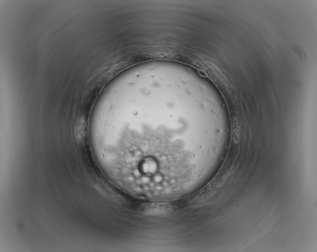 X0000115110077200911101614