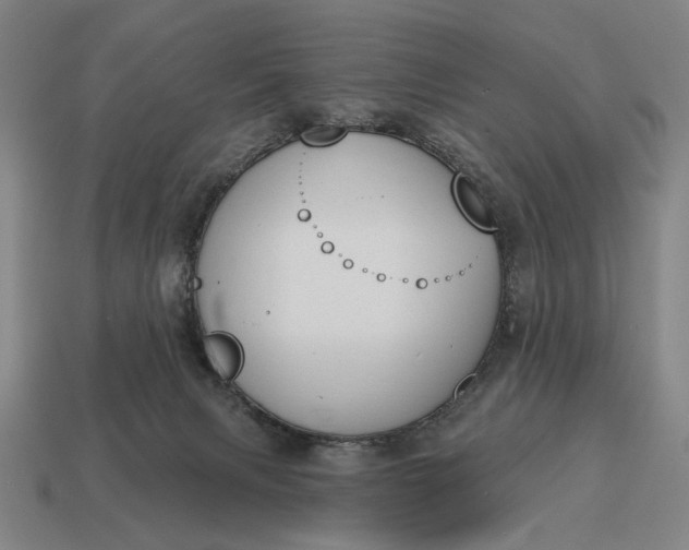 X0000115110079200911101614