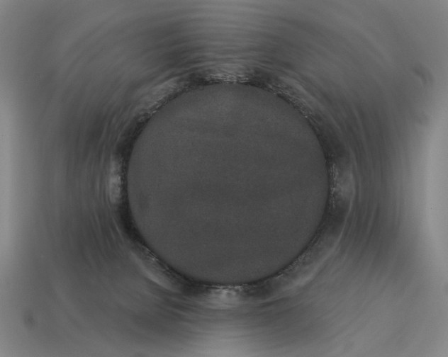X0000115110080200911101614