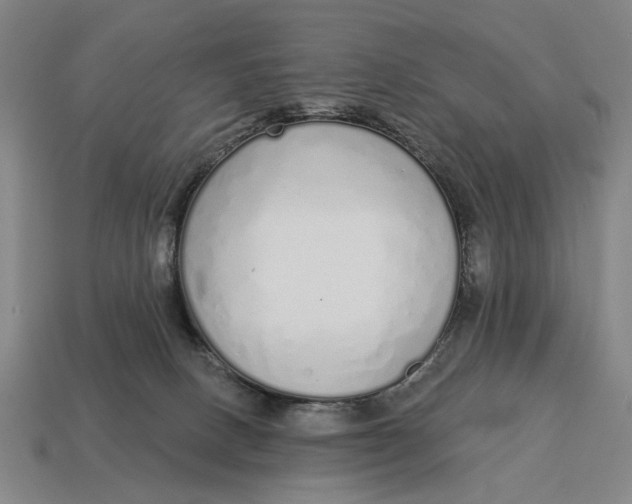 X0000115110082200911101614