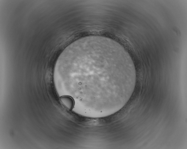 X0000115110083200911101614