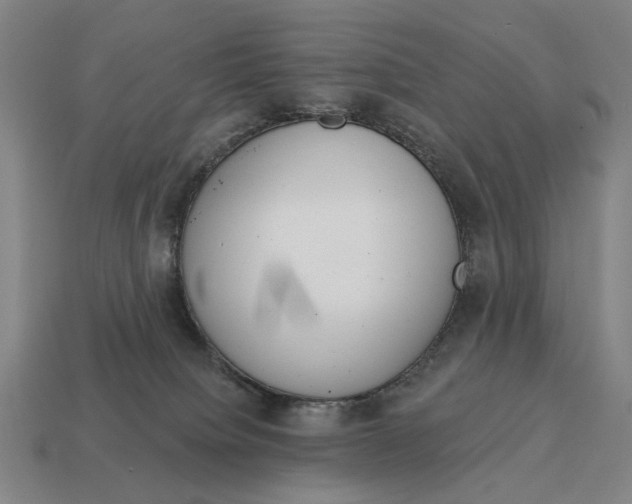 X0000115110084200911101614