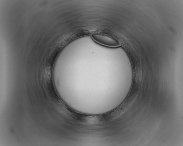 X0000115110085200911101614