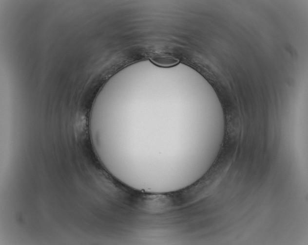 X0000115110087200911101614