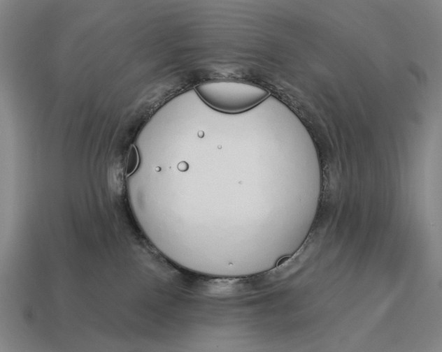 X0000115110090200911101615