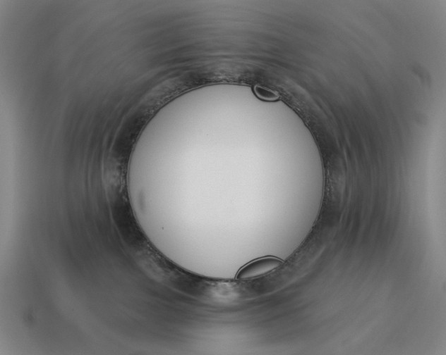 X0000115110091200911101615