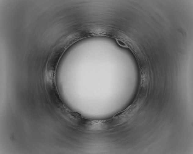 X0000115110093200911101615