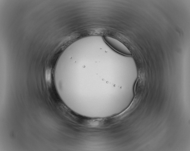 X0000115110094200911101615