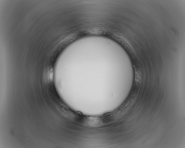 X0000115110095200911101615