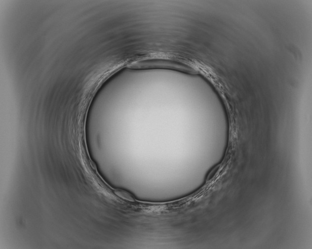 X0000115110097200911101614