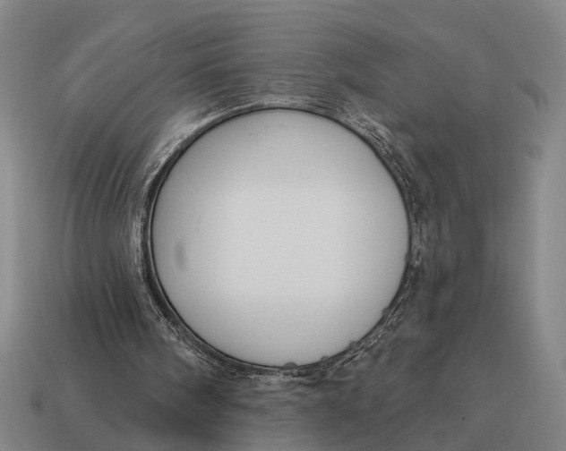 X0000115110098200911101614