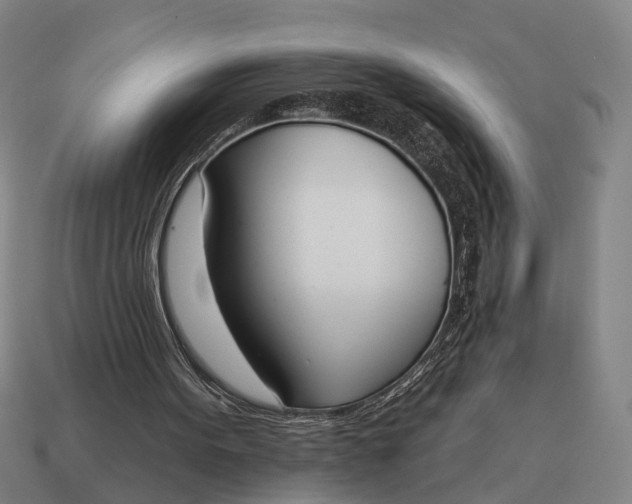 X0000115110099200911101614