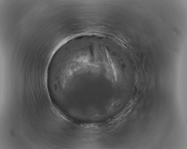 X0000115110100200911101614
