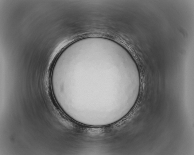 X0000115110102200911101614